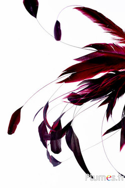 Hahnenschlappen Body Split - 23-28 cm - schwarz-pink